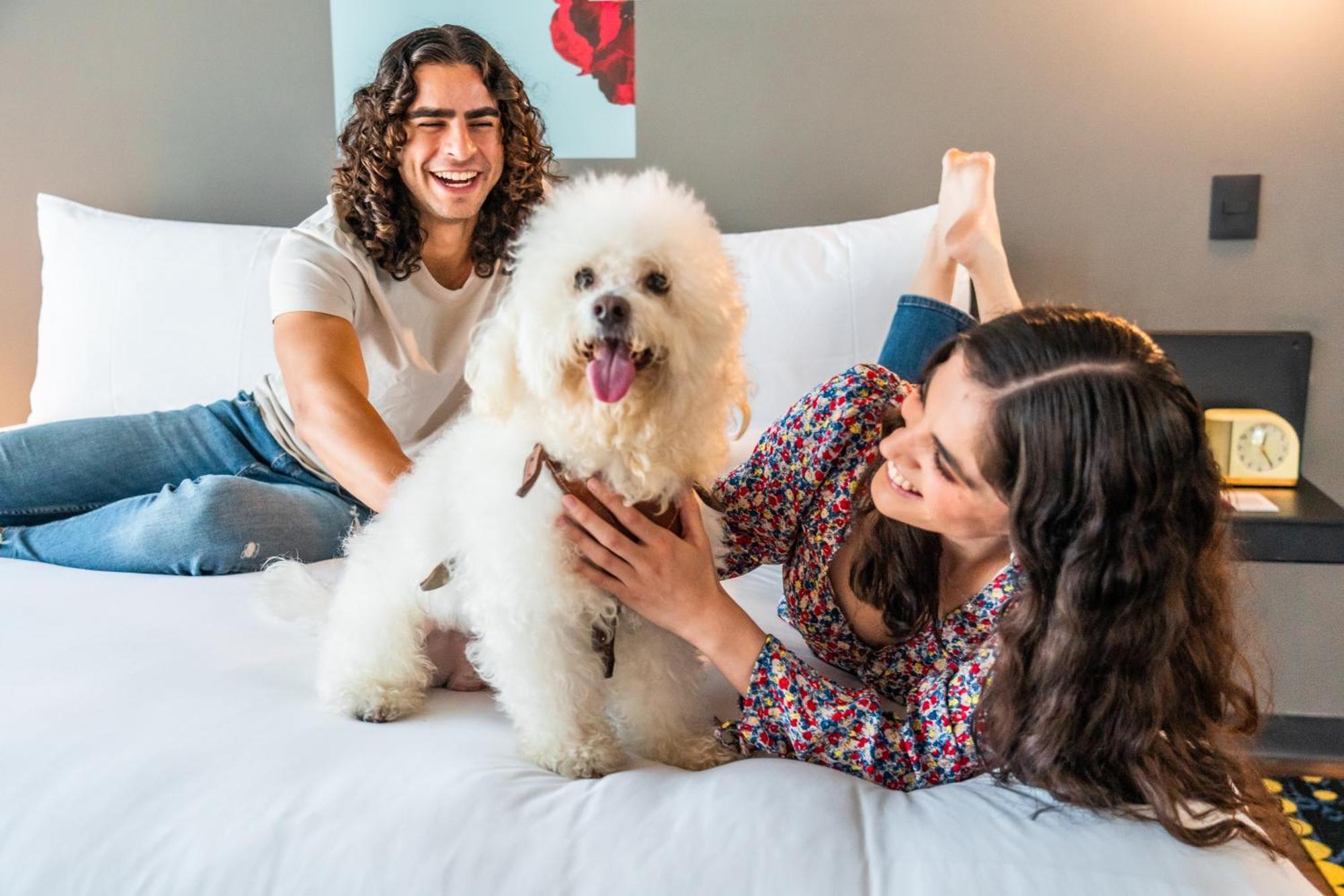 Aloft Guadalajara Sur Hotel Santa Anita  Ngoại thất bức ảnh