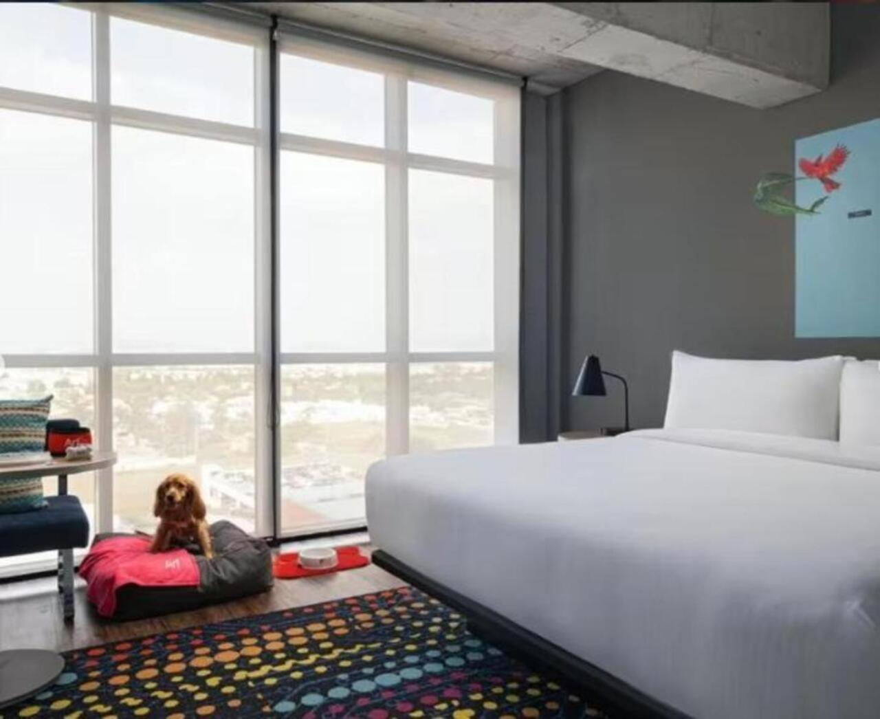 Aloft Guadalajara Sur Hotel Santa Anita  Ngoại thất bức ảnh
